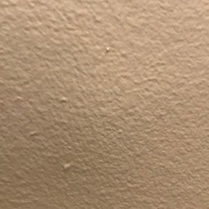 Meet your Posher, Damen